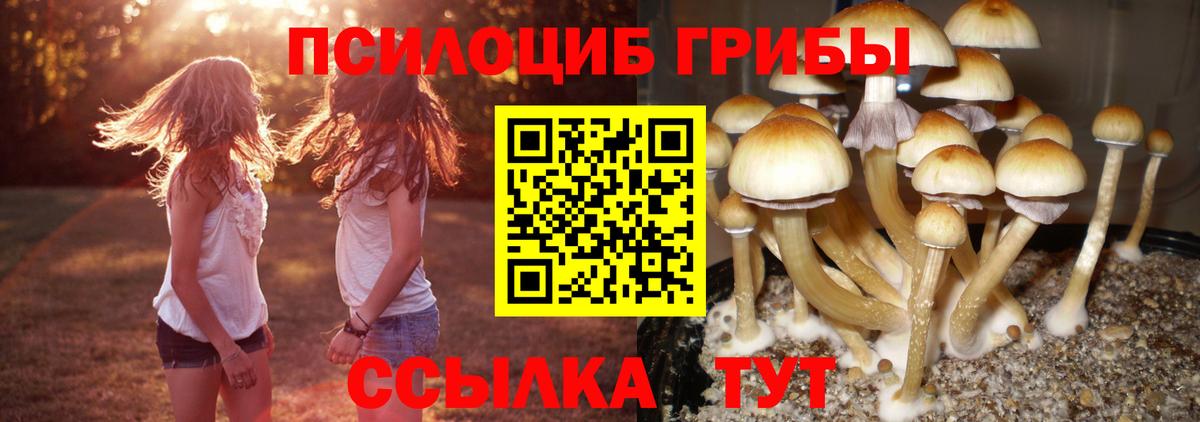 Псилоцибиновые грибы ЛСД  Вход с VPN  Дивногорск 
