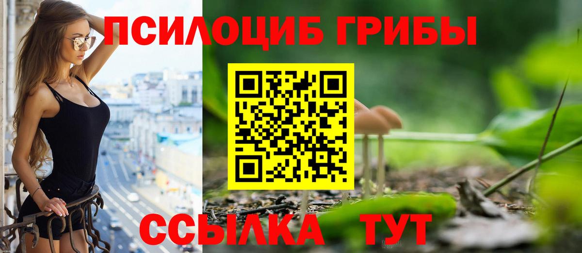 Галлюциногенные грибы прущие грибы Дивногорск